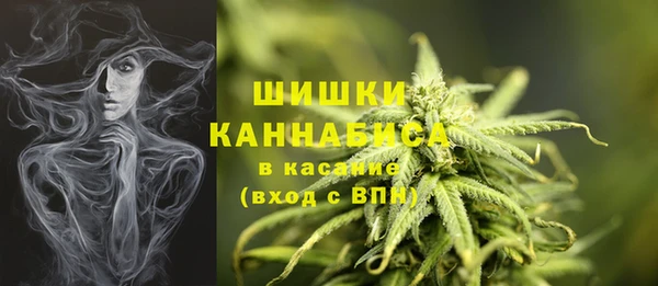 дурь Нея