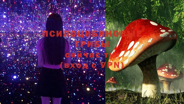спиды Нефтекумск