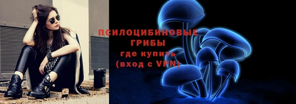 спиды Нефтекумск
