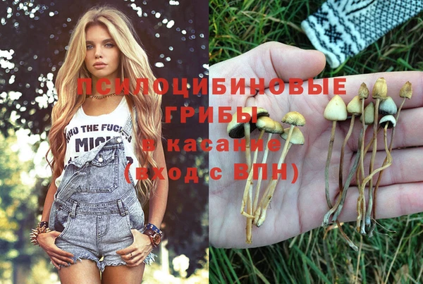 спиды Нефтекумск
