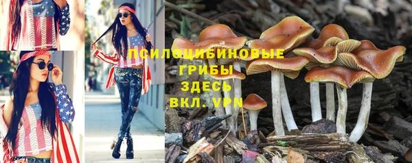 дурь Нея