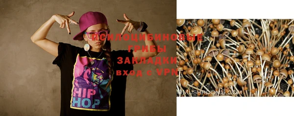 дурь Нея