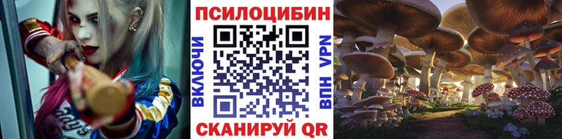 где продают Курган kraken как зайти Галлюциногенные грибы Psilocybine cubensis
