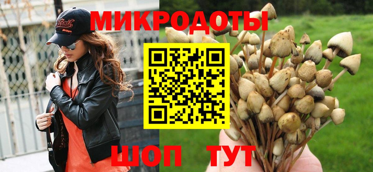 Курган  Галлюциногенные грибы прущие грибы  Вход с VPN 